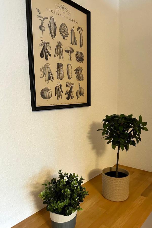 City-Apartment In Krefeld - Beuys Apartments - クレーフェルト エクステリア 写真